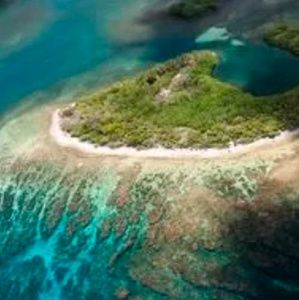 Meet your Posher, Alexandrea